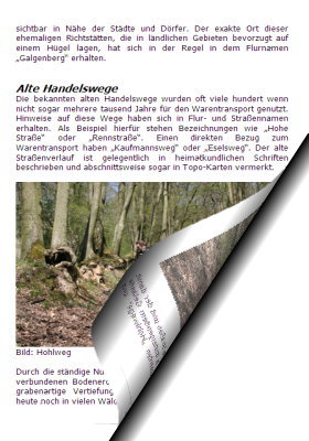 Alter Hohlweg, Handelsweg oder Altstrasse