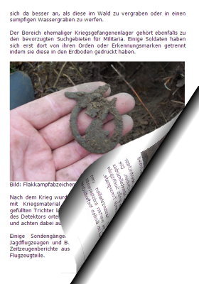 Kampfabzeichen Orden Militaria