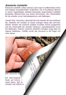 R�mische Scherben auf einem Acker